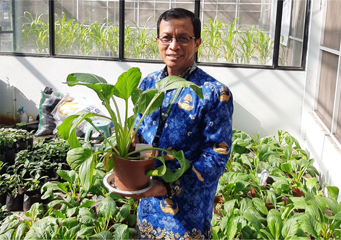 UPN VETERAN Yogyakarta